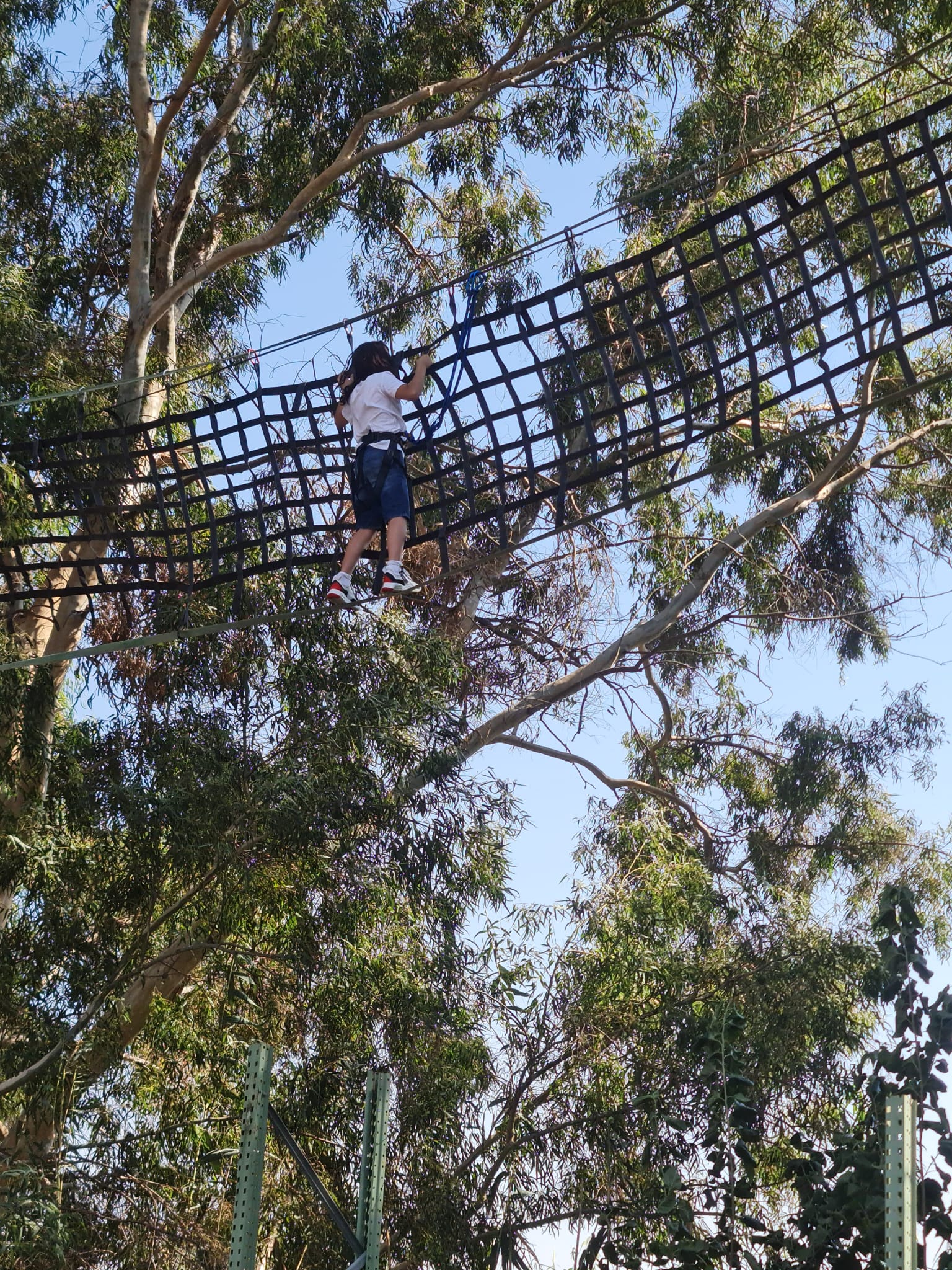 פארק חבלים 23